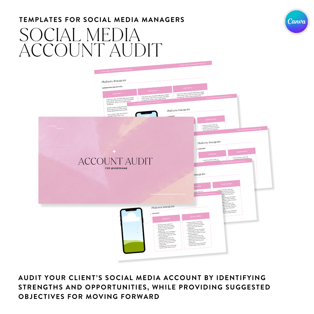 Social Media Audit Template - Sugarpunch Marketing